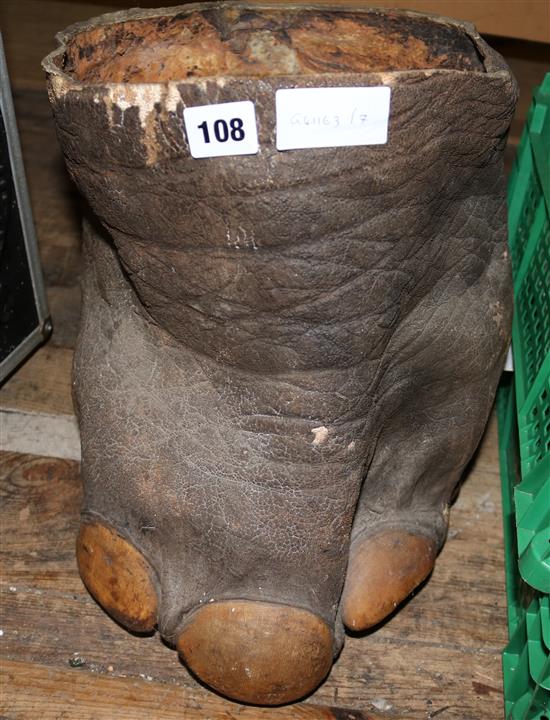 Elephant foot